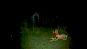 Creature Kitchen screenshot 8