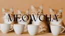 Discovery splash banner for Meowcha Discord server