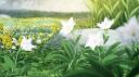 Discovery splash banner for Dusk 'N' Dawn | India Discord server