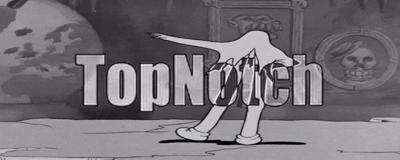 Discovery splash banner for TopNotch Assets Discord server
