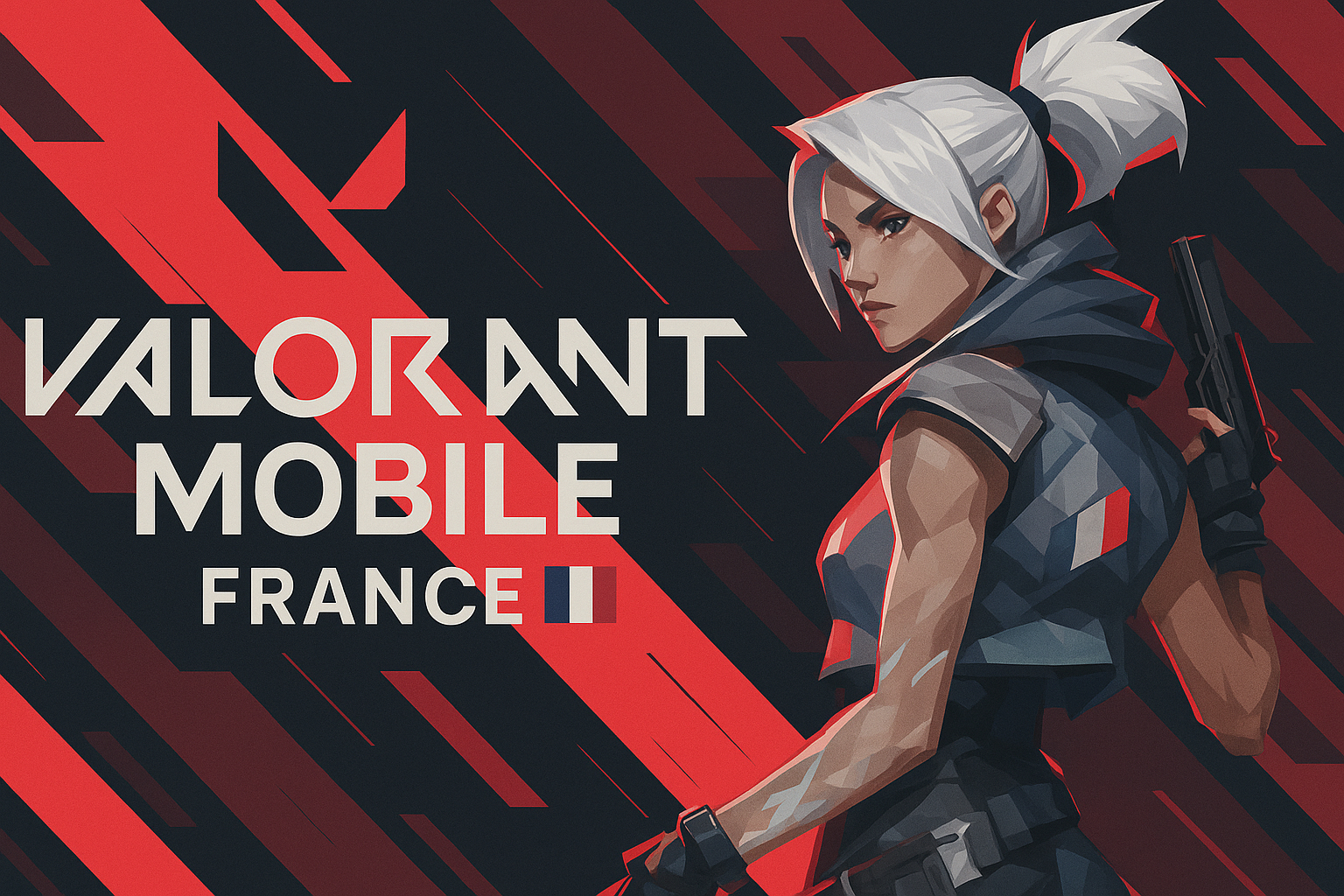 Discovery splash banner for Valorant Mobile France Discord server