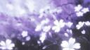 Discovery splash banner for Aᴢᴀʟᴇᴀ - 💮 Discord server