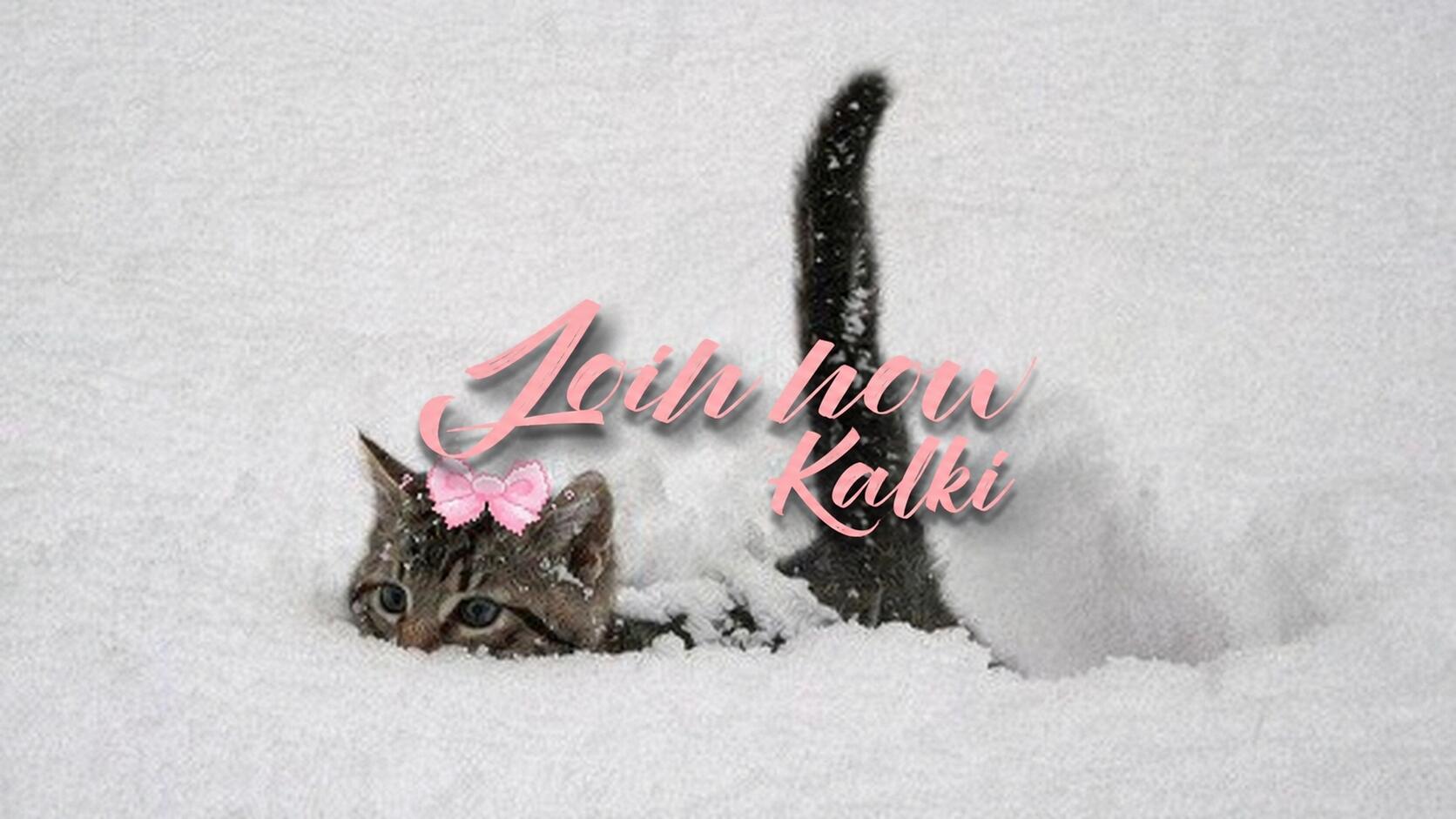 Discovery splash banner for Kalki 💌 ask to dm・egirl・social・cats・make friends・tags・vc・gws・ask2dm・nitro Discord server