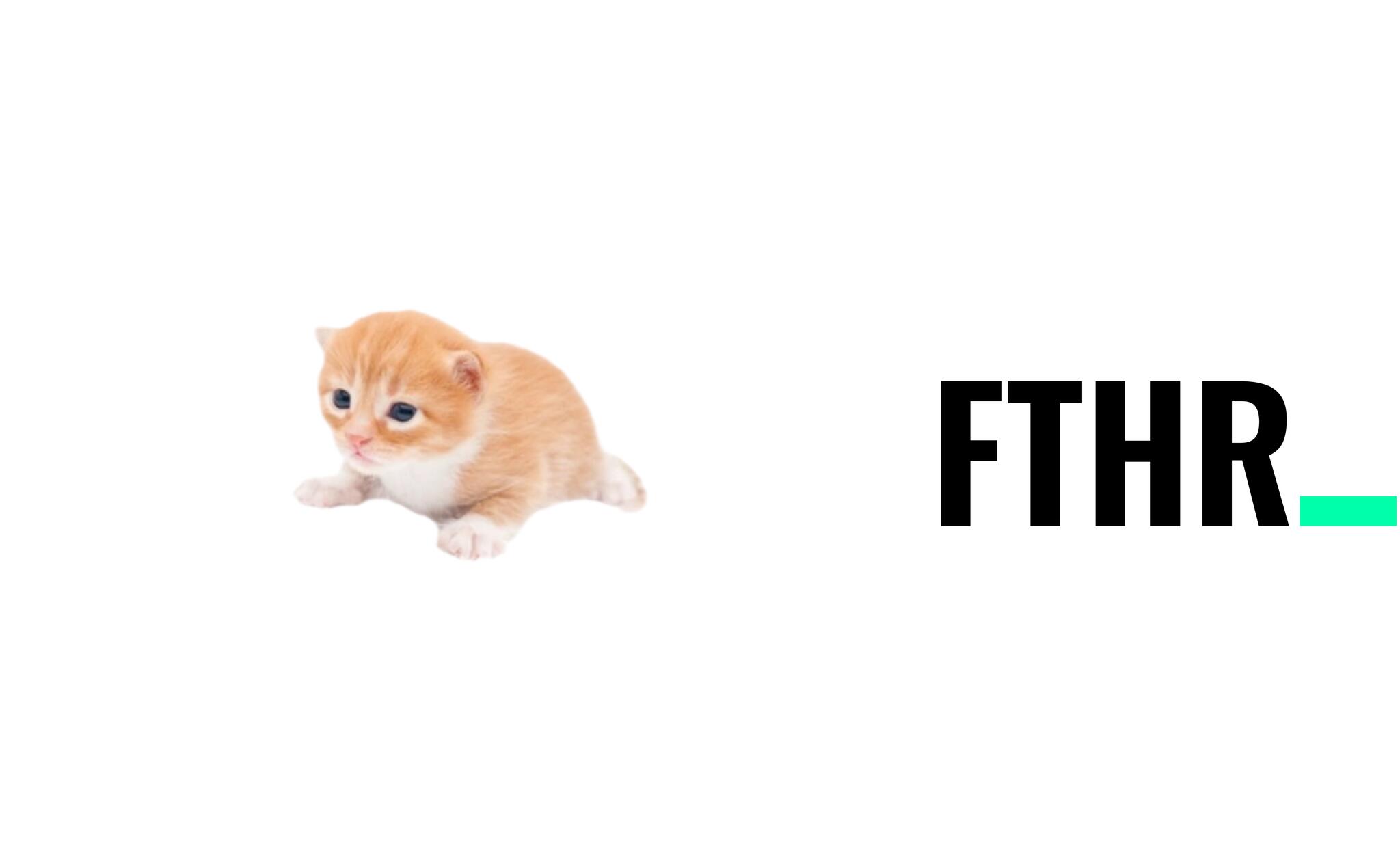 Discovery splash banner for FTHR Community Discord server