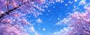 Discovery splash banner for || 〆RV Revire || Robux Giveways & Family Friendly Hangout! Discord server