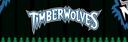 Discovery splash banner for Minnesota Timberwolves Discord server