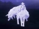 Discovery splash banner for Ninetales' Paradise Discord server