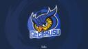 Discovery splash banner for GeceKuşu Discord server