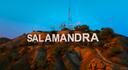 Discovery splash banner for Salamandra Life RP Discord server