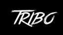 Discovery splash banner for TRIBO Discord server