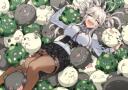 Discovery splash banner for Shishiro Botan's Den Discord server
