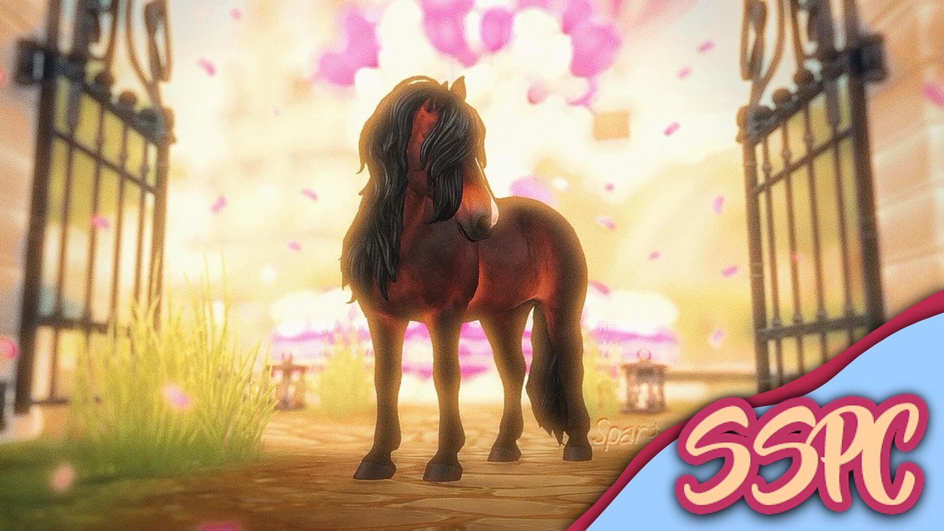 Discovery splash banner for Star Stable Photography Center Discord server