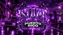 Discovery splash banner for 🌴Puerto Rico Island 🌴 Discord server