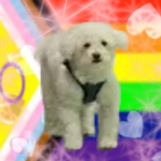 Discovery icon for Mr. Technodad Discord server