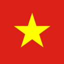 Discovery icon for Vietnam 🇻🇳 Discord server