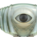 Discovery icon for Steal An Egg Notifier : Sae Egg Notifier Discord server
