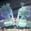 Discovery icon for BiochemCord Discord server