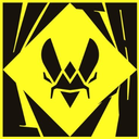 Discovery icon for TEAM VITALITY Discord server