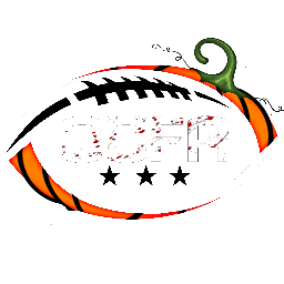 Discovery icon for Old Collegiate Football Association Discord server