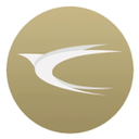 Discovery icon for SkyLink Group Discord server