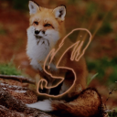 Discovery icon for Sălbaticii Discord server