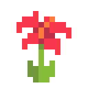 Discovery icon for Team Hibiscus Discord server