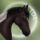 Discovery icon for The Dressage Academy Discord server